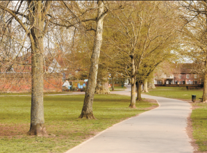 Higginson Park reports £13,000 loss as asset values fall