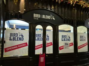 Acclaimed tea vendor arrives in Windsor with a tea-licious bang