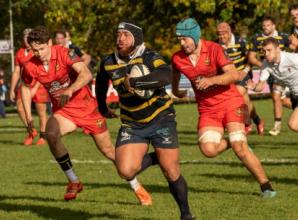 Hawks in seventh heaven after stopping rot with home victory