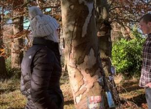 ‘Graduate licence could reduce road deaths’