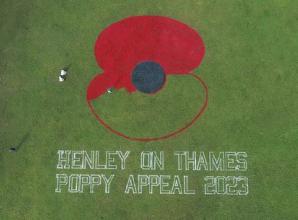 Giant poppy in meadows for Legion appeal