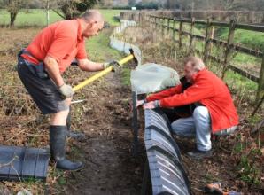 New barrier takes shape to prevent toads crossing