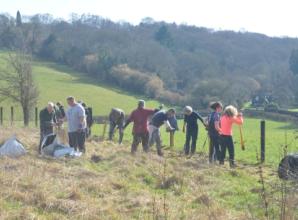 New hedge to help wildlife
