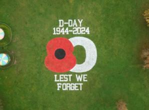 Giant poppy in meadows for Legion appeal
