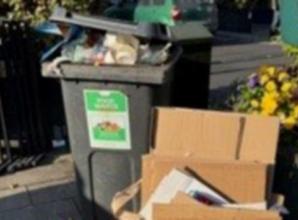 Business owner ‘deflated’ to find bin overflowing