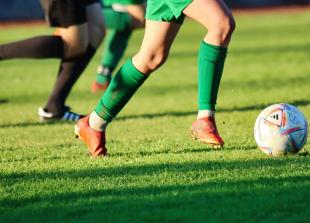 New FA guide hoped to help crack down on alienating language