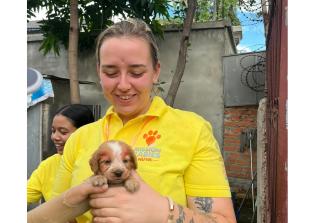 Dogs in Cambodia bite back against rabies with help of Windsor canine carer