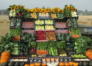 Vintage tractors and produce auction at 172nd Ploughing Match and Country Show