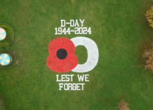 Giant poppy in meadows for Legion appeal