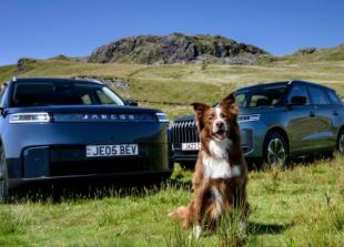 Climate function to keep your dog cool in car