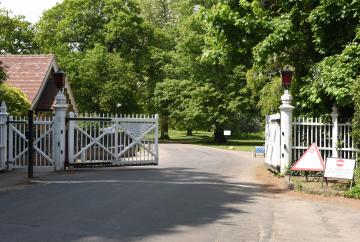 Risk of lethal bacteria in Windsor Great Park pond sees pet owners warned