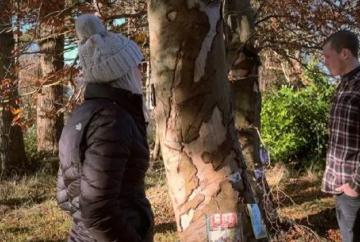 ‘Graduate licence could reduce road deaths’