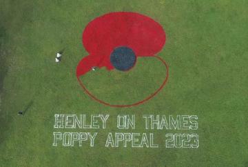 Giant poppy in meadows for Legion appeal