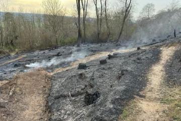Firefighters battle for three hours to stop wood blaze