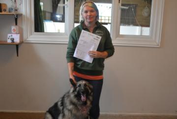 Dog day care centre could close after £24,500 bill