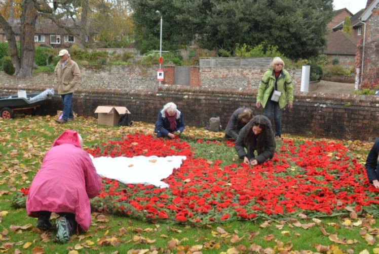 Villagers knit 1,750 poppies for remembrance art installation