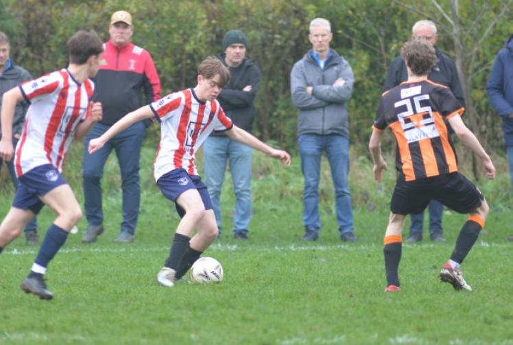 Hotspurs hit back with five-star performance