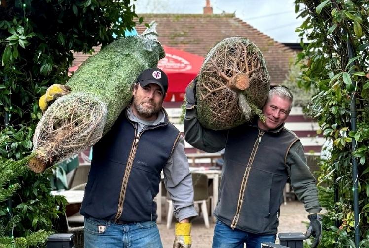 Cheers! Friends use new pub as home for tree business