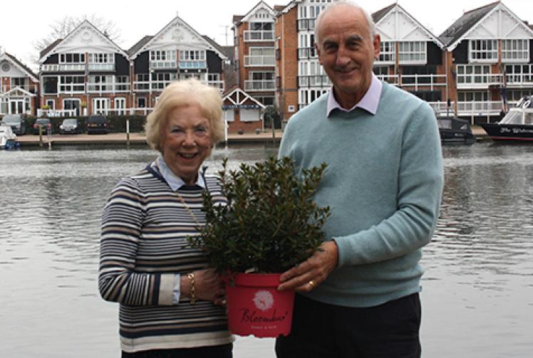 Woman steps down after 50 years with housing trust