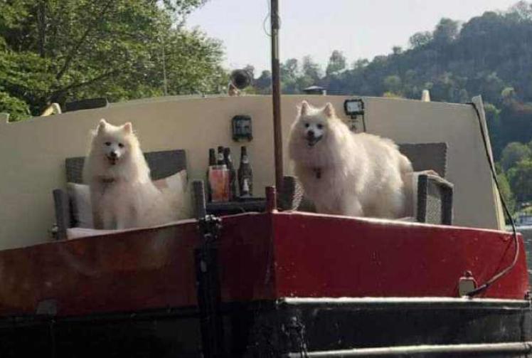 Man says sorry for fireworks