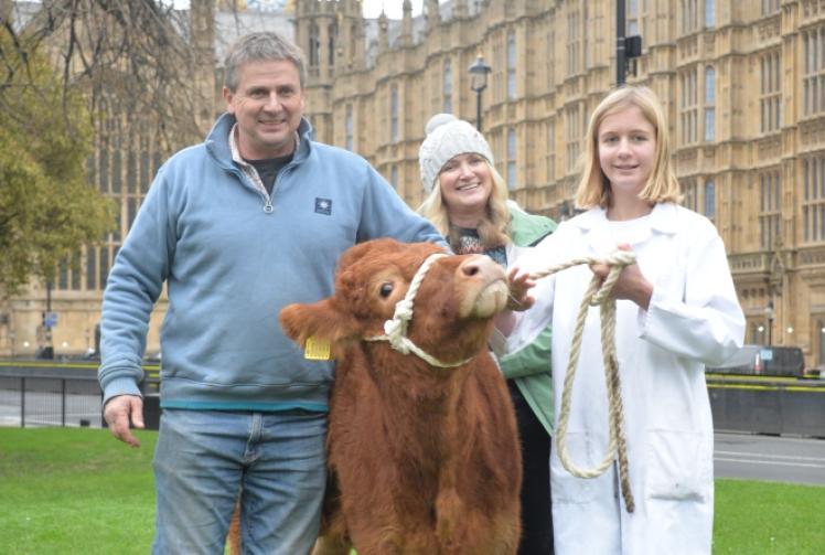 Farmer (and Vicky the cow) at tax protest