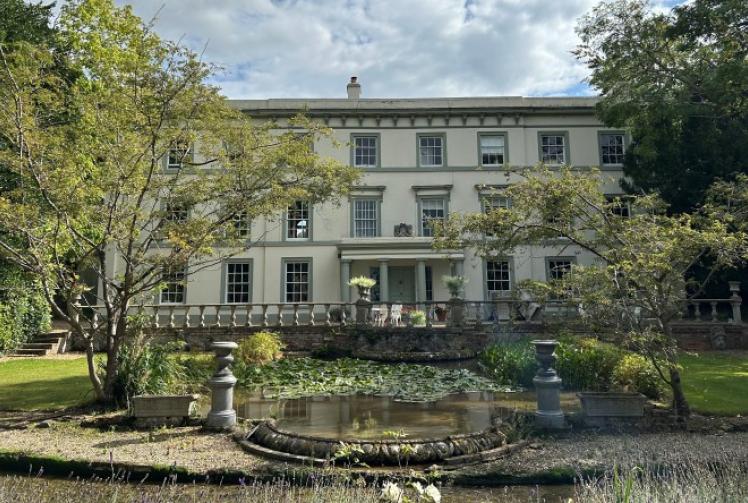 The ‘demure’ B&B that has ‘so much rizz’ goes viral