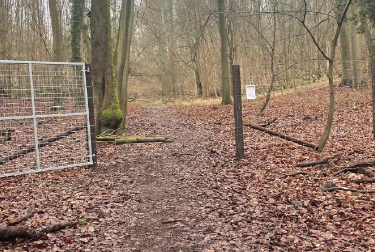 Much-loved footpath fenced off