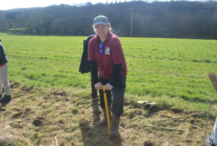 New hedge to help wildlife