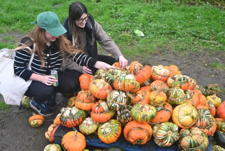 Pumpkin day and growing season hit by bad weather