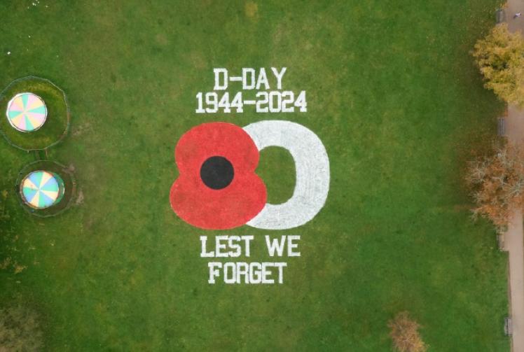 Giant poppy in meadows for Legion appeal