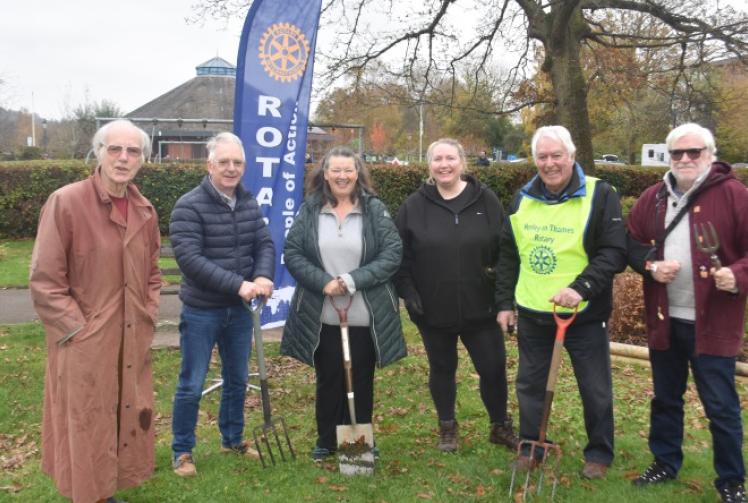 Crocus bulbs planted for polio awareness