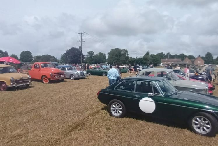 Classic car enthusiasts gather for annual show