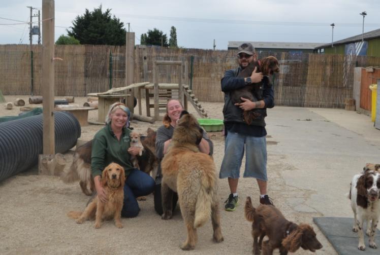 Dog day care centre could close after £24,500 bill