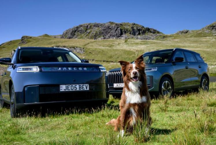 Climate function to keep your dog cool in car