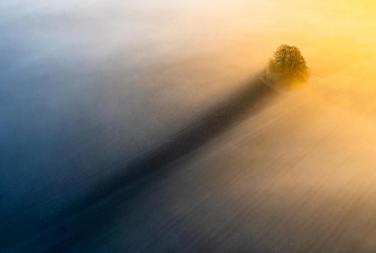Photographer wins award with misty morning shadow